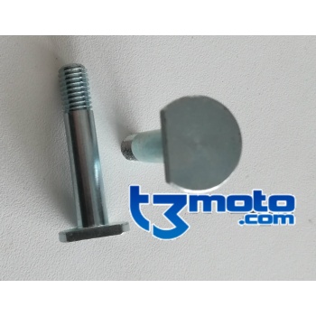 tornillo especial bieleta beta evo