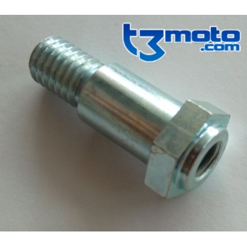 Tornillo especial caballete beta trial