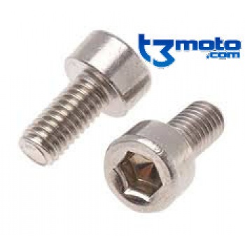 Tornillo subchasis beta evo