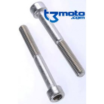 Tornillo M6 X 50 