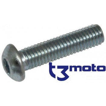 Tornillo Corona M8x33