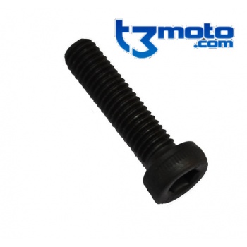 Tornillo maza embrague gas gas pro