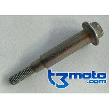 Tornillo paramanos freno Sherco Enduro