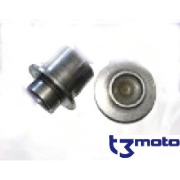 Piston bombin embrague TRS