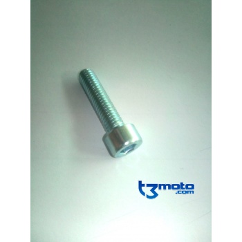 Tornillo Pedal arranque TRS