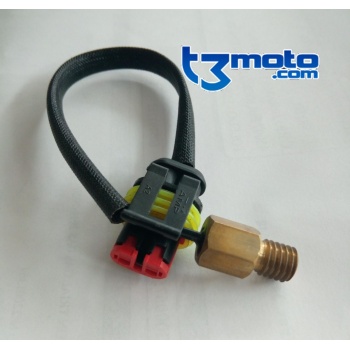 Sensor temperatura TRS