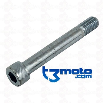 Tornillo especial M10 x 80 DIN912 12.9 NQ	