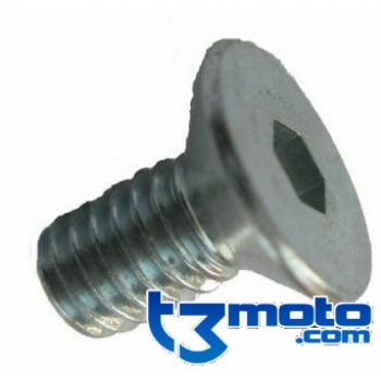 Tornillo M6x12 DIN7991