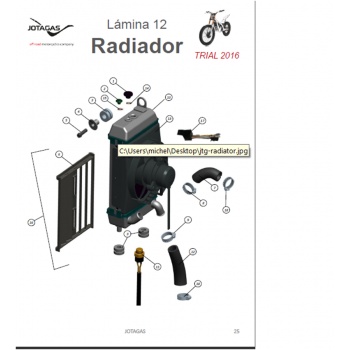 Termostato radiador jotagas